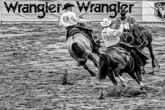 Wrangler