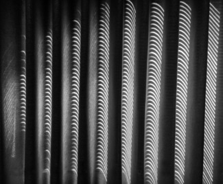 Zebra Stripes