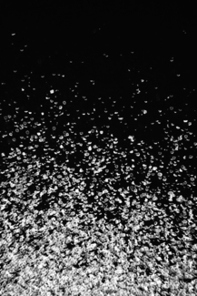 from series Spirit & Matter , Evolution #8