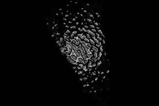 Balestra -Silvio_Partial vacuum 1