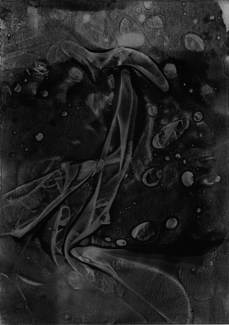 Balestra-Silvio_series Concepts Microscopic view 1