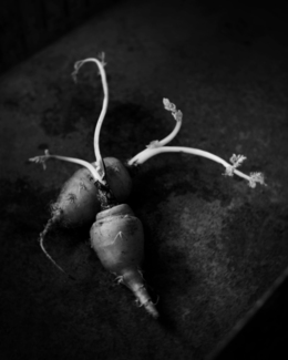 Carrots