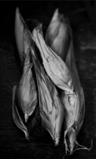 Corn