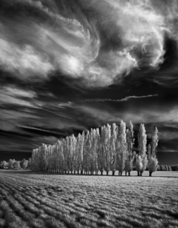70 Poplars