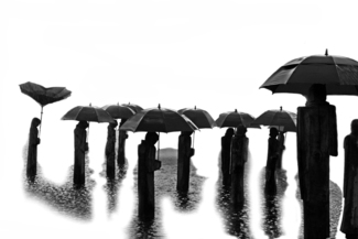 Umbrellas