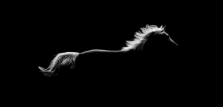 Free Spirit