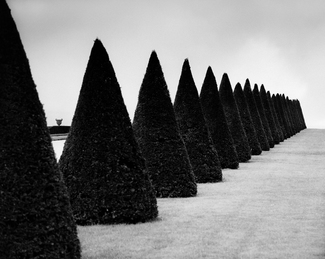 Urn and Hedges