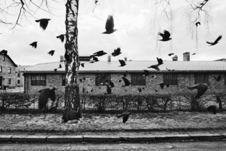 Barracks at Aushwitz Museum 