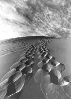 Sand Tracks