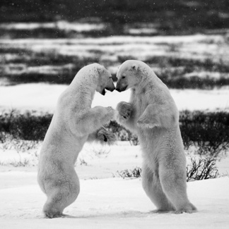 Face to face