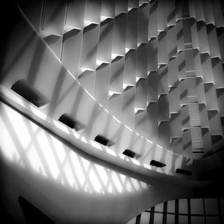Looking Up