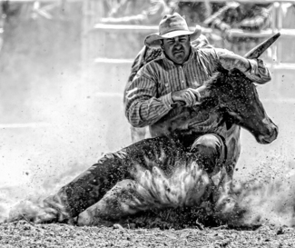 Steer Wrestler