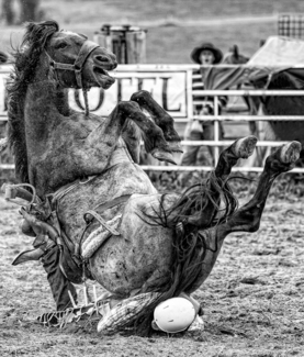 Saddlebronc