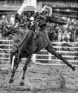 Bareback Rider