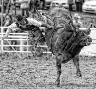Bull Rider Two