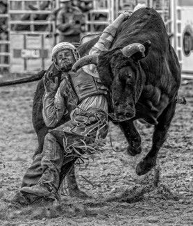 Bull Rider Three