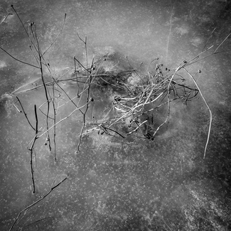 Untitled (2)