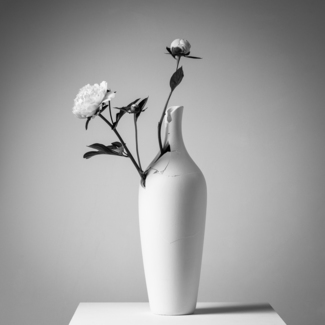 Peonies