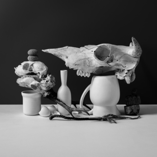 Vanitas