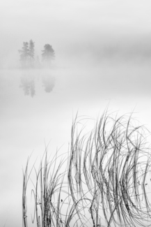 Morning fog (2)