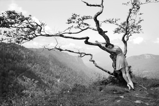 Dancer in the tree