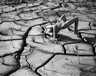 The Dry Sea Mermaid
