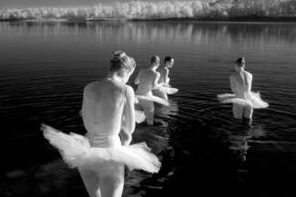 Untitled (8)