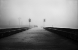 Going to work in Fog