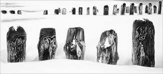 Groynes