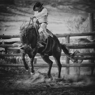 Bronc Buster
