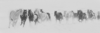 Winter's Chill