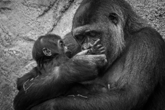 Bonding