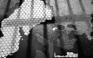 Untitled (10)
