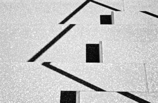 Untitled (6)