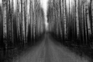 Aspen Alley