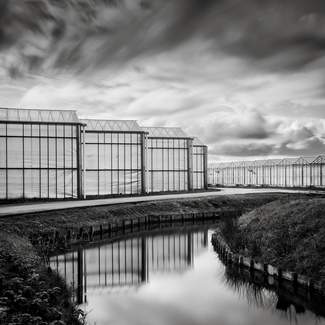 glass houses