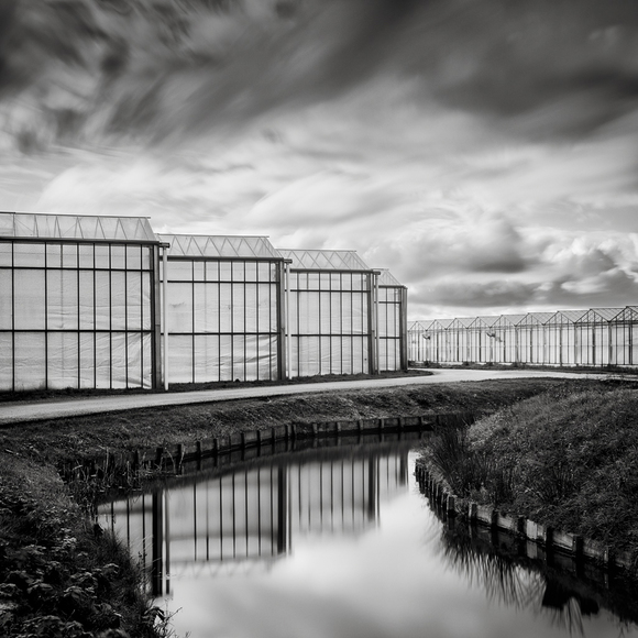 glass houses