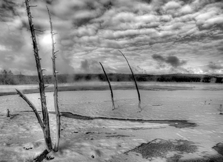 Barren Lands