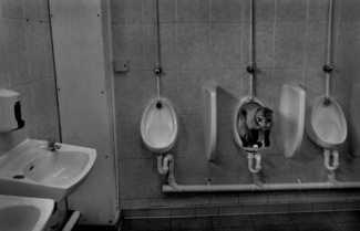 Monkey Business (2)