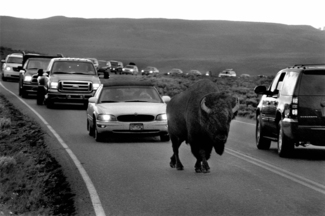 Tailgaiting