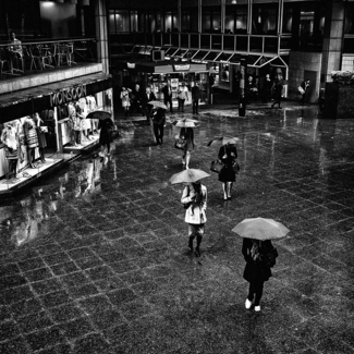 Monsoon