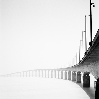 Bridge Study1