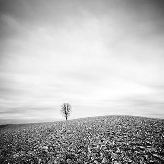 Farmland Study