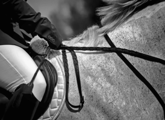 Horse and Rider