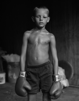 Boxer