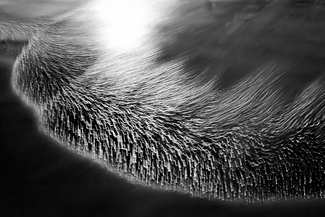 Light Dance on Wet Sand