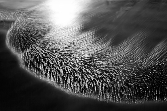 Light Dance on Wet Sand