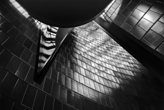 Looking Up