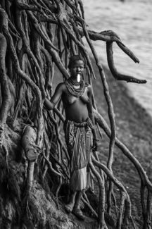 Roots