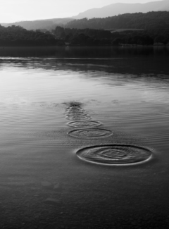 Skimming